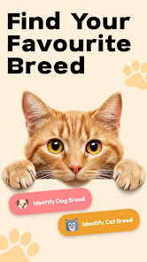 Cat Dog Breeds Identifier product screenshot